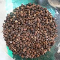 کبابه چینی
