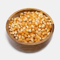 ذرت پاپکورن