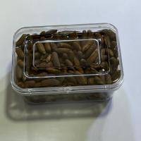 تخمه چلغوز اعلا