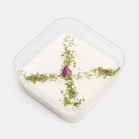 ماست موسیر محلی