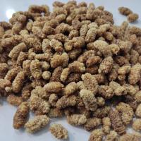 توت خشک معمولی