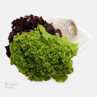 کاهو فرانسوی