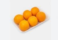 پرتقال درجه یک ( 500 گرم )