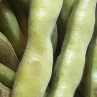 باقالی