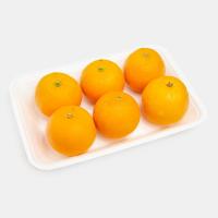 پرتقال شهسواری آبگیری
