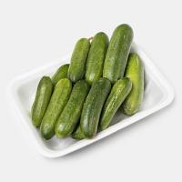 خیار اصفهان