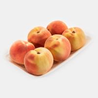 هلو ممتاز