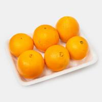 پرتقال شهسواری