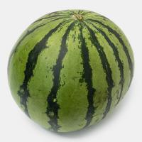 هندوانه چابهار