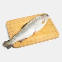 ماهی قزل آلا ماهی قزل آلا رودخانه‌ای