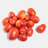 گوجه فرنگی درجه یک