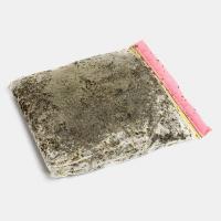 سبزی قورمه سرخ شده