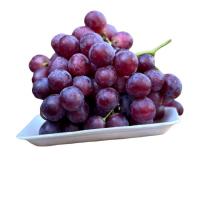 انگور خارجی ممتاز 