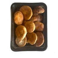 قارچ شیتاکه