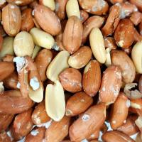 بادام زمینی بو داده