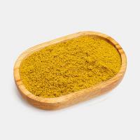 ادویه برگر