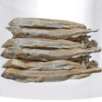 ماهی سمنقور 10 گرم