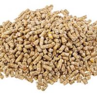 غذای باز پلت طوطی سبز و کاسکو تاپ فید