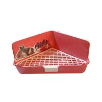 توالت خرگوش و خوکچه پیکو