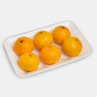 نارنگی ژاپنی 