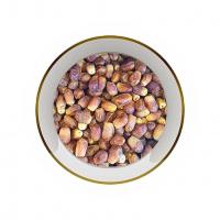 خرما زاهدی یک کیلوگرم - آجیل و خشکبار کاچی