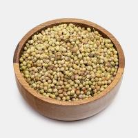 تخم گشنيز پودر ١٠٠ گرم