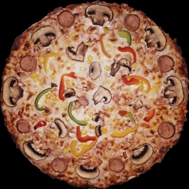 پیتزا مخصوص