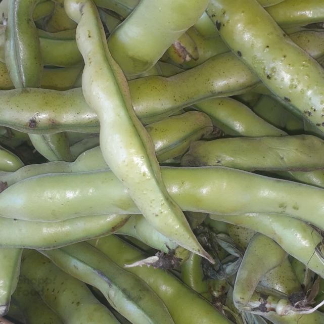 1 کیلوگرم ± 50 گرم