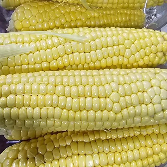 1 کیلوگرم ± 50 گرم