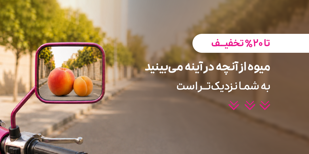 نان فود-خرید خونه-گلابیسیبموز-لندینگ *-,1,-1 تا 31 خرداد-خرداد 05