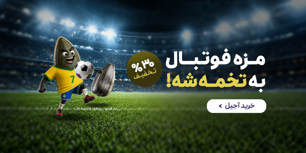 جنرال-فیفا-مزه فوتبال به تخمشه-خانه مینی-,1,-25 خرداد-خرداد 05