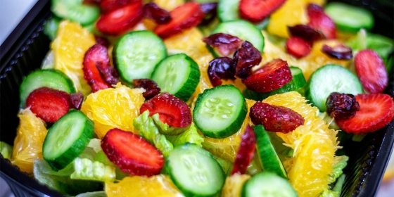 غذای سالم و رژیمی ارگانیکا (سعادت آباد)