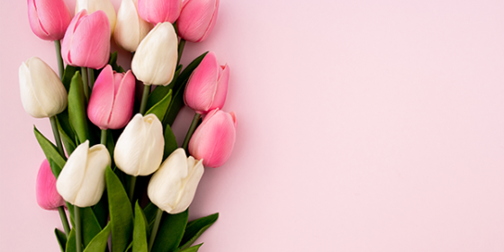 گل فروشی گیاکادو