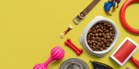 پت شاپ فرچه