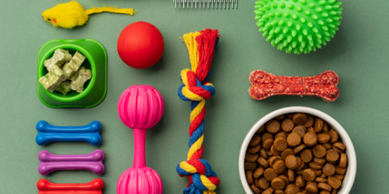 پت شاپ شاه عروس