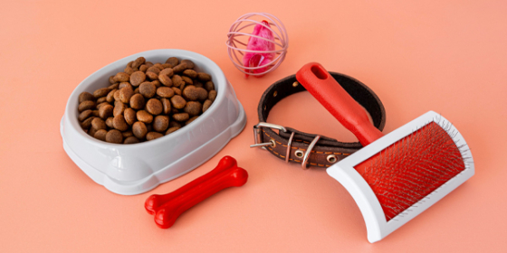 پت شاپ سیلور