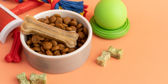 پت شاپ پتی وان ( شعبه سعادت آباد)