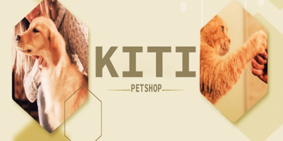 پت شاپ کیتی
