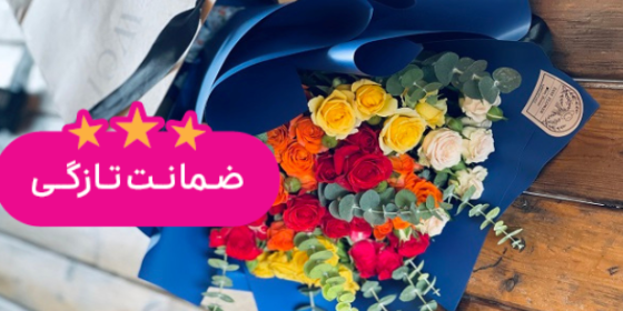 گل فم فلاور