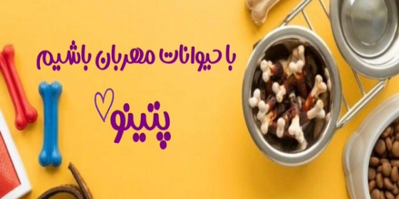 پت شاپ پتینو (شعبه ۱)