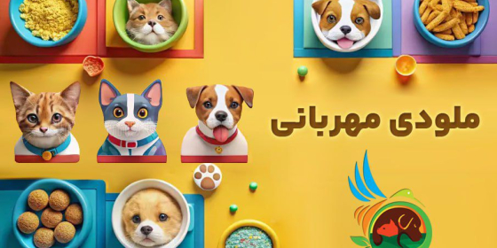 پت شاپ ملودی مهربانی