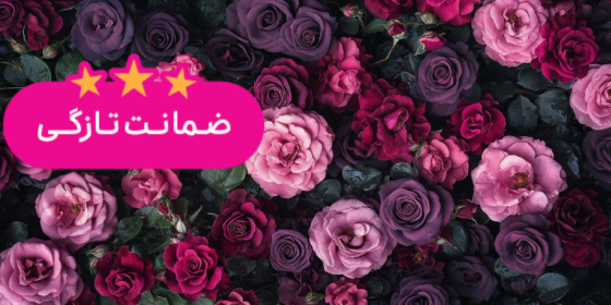 مریم فلاور