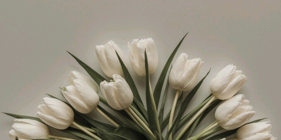گل وندا (باغ فیض)