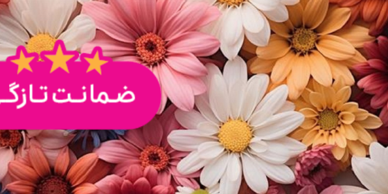 بوتیک گل لی لی