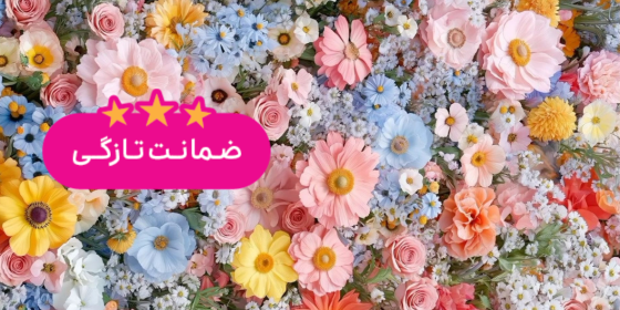 سی گل (تهرانپارس)
