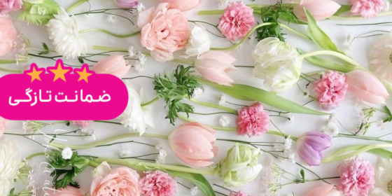 گل فروشی گلریز