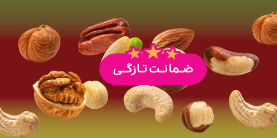 آجیل و خشکبار ایلیا