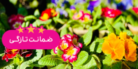 گل و گیاه نادی