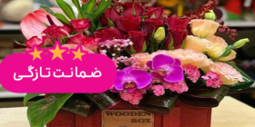 گلسرای کیانوش