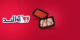 پروتئین اقتصادی آوا لند (میرداماد)